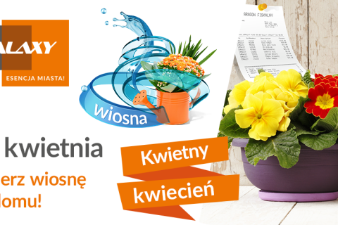 ECHO - Wrapped with one line